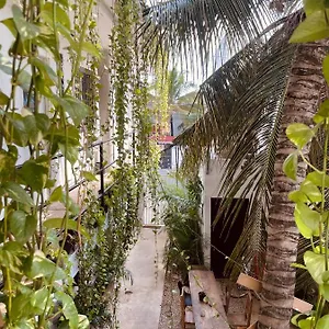  Mini-hôtel Anana Coliving